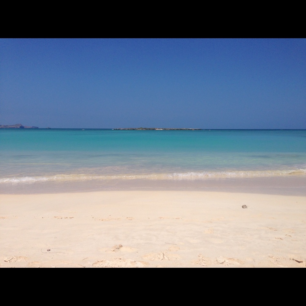 Meet your Posher, Karla